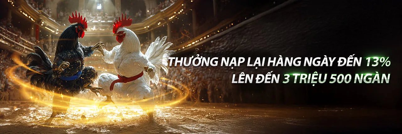 Hình nền đá gà chọi sôi động